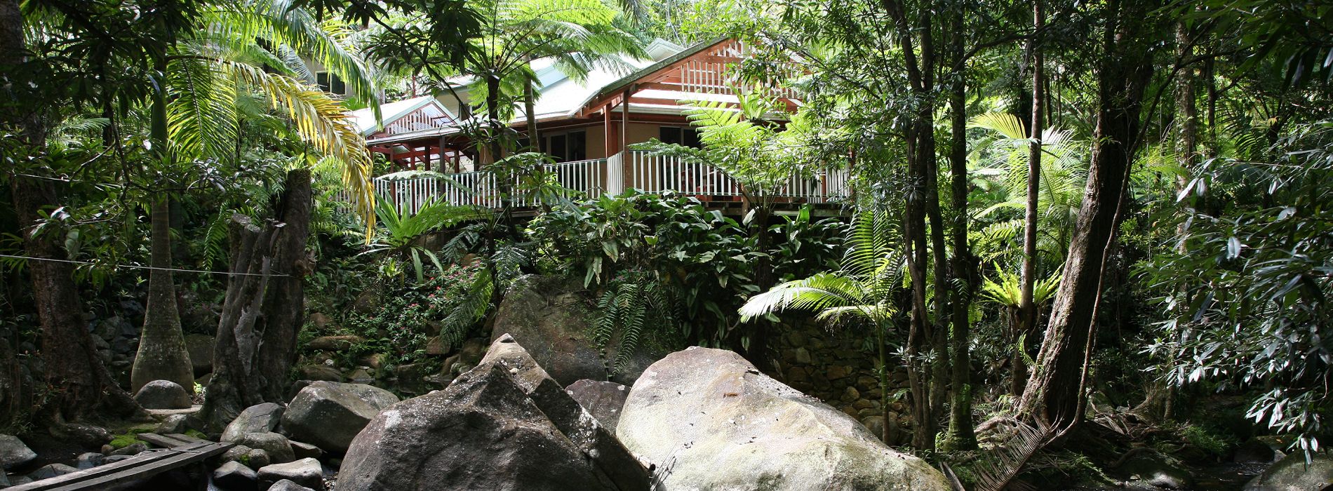Daintree Daintree Secrets Rainforest Holiday Home