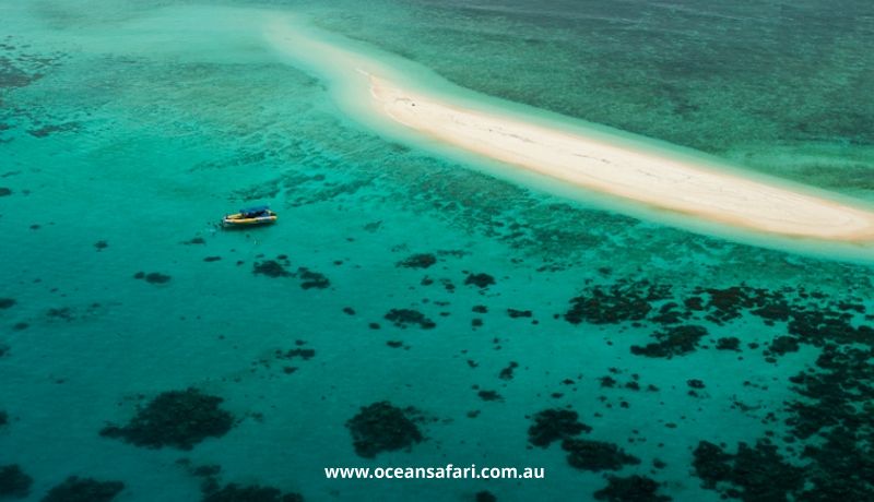 Daintree Tours & Activities - Great Barrier Reef