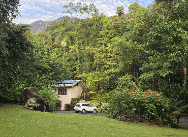 Daintree Secrets Under Thornton Peak