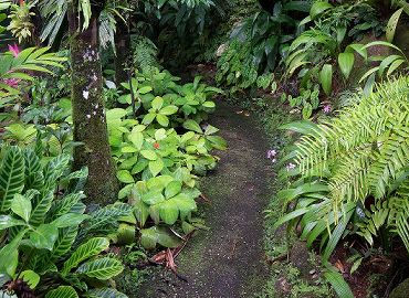 Garden Path