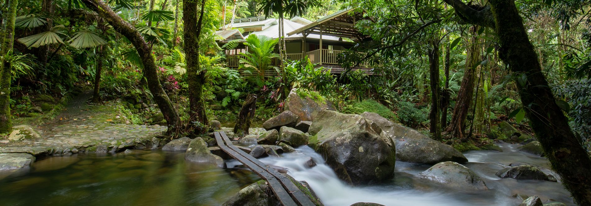 Daintree Holiday Home Daintree Secrets