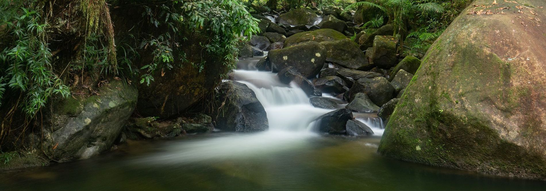 Daintree Holiday Home Daintree Secrets