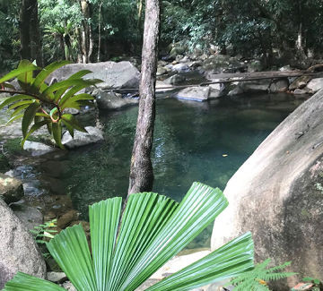 Daintree Secrets Rainforest Accommodation