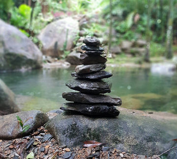 Daintree Secrets Rainforest Accommodation