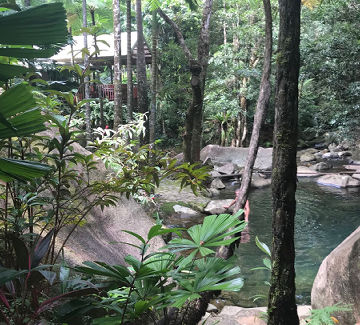 Daintree Secrets Rainforest Accommodation