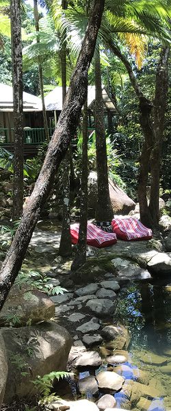 Daintree Secrets Holiday Home Accommodation