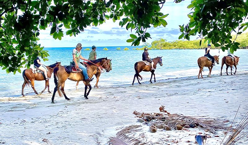 Guided group of horse riders trotting along the pristine beachfront of Cape Tribulation