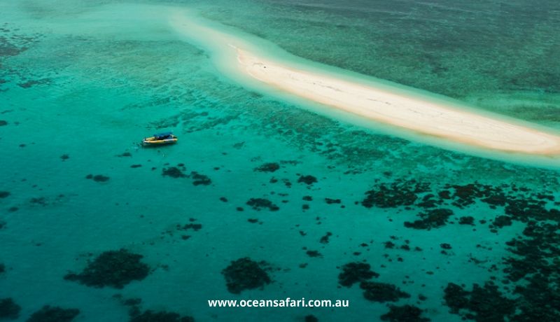 Aerial view of a pristine white sand cay on the Great Barrier Reef near Cape Tribulation