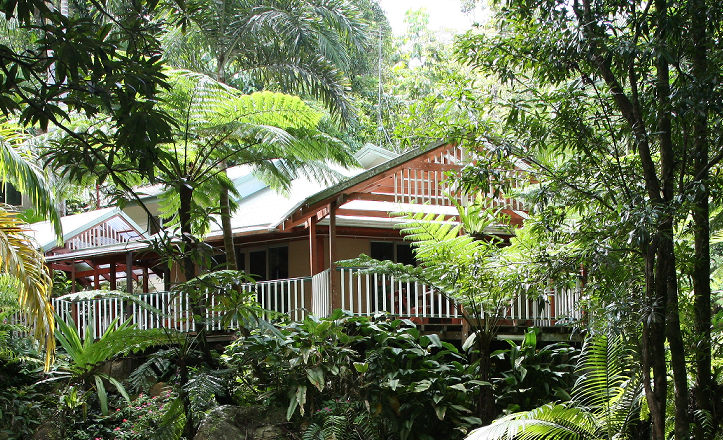 View of the Daintree Secrets holiday home nestled in the tropical rainforest looking towards the spacious back verandah deck