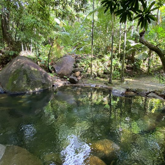 Lush rainforest view of the private swimming hole and freshwater creek at Daintree Secrets Eco Holiday Home