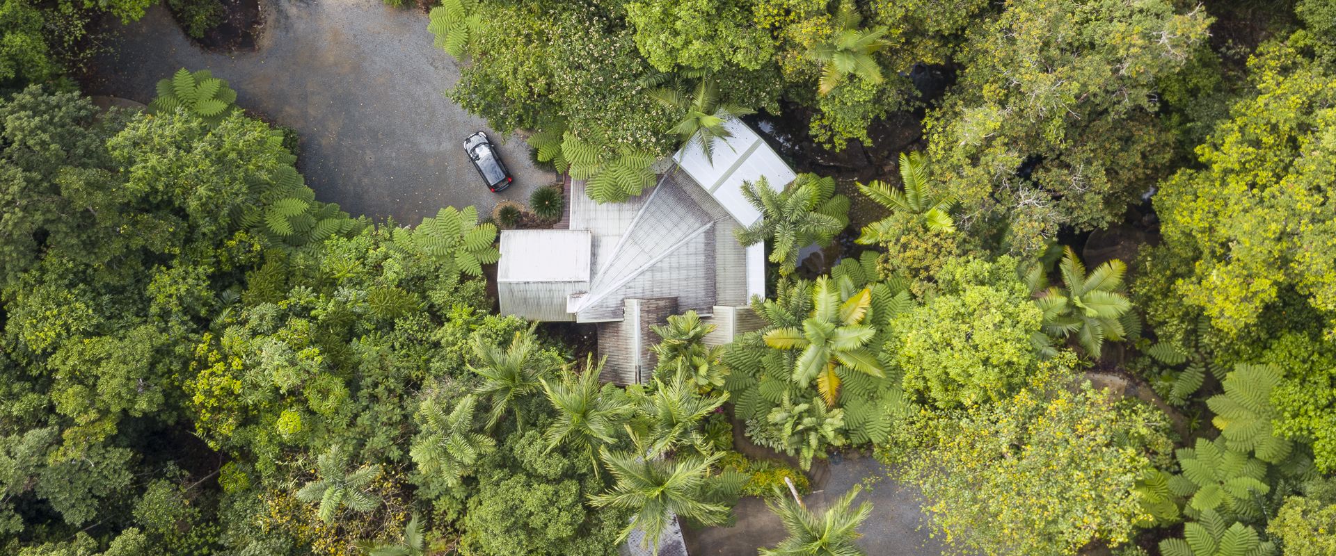 Daintree Secrets Eco-Certified Rainforest Retreat Aerial View Aerial drone perspective of the eco-certified Daintree Secrets holiday home nestled within ancient tropical rainforest canopy in Diwan