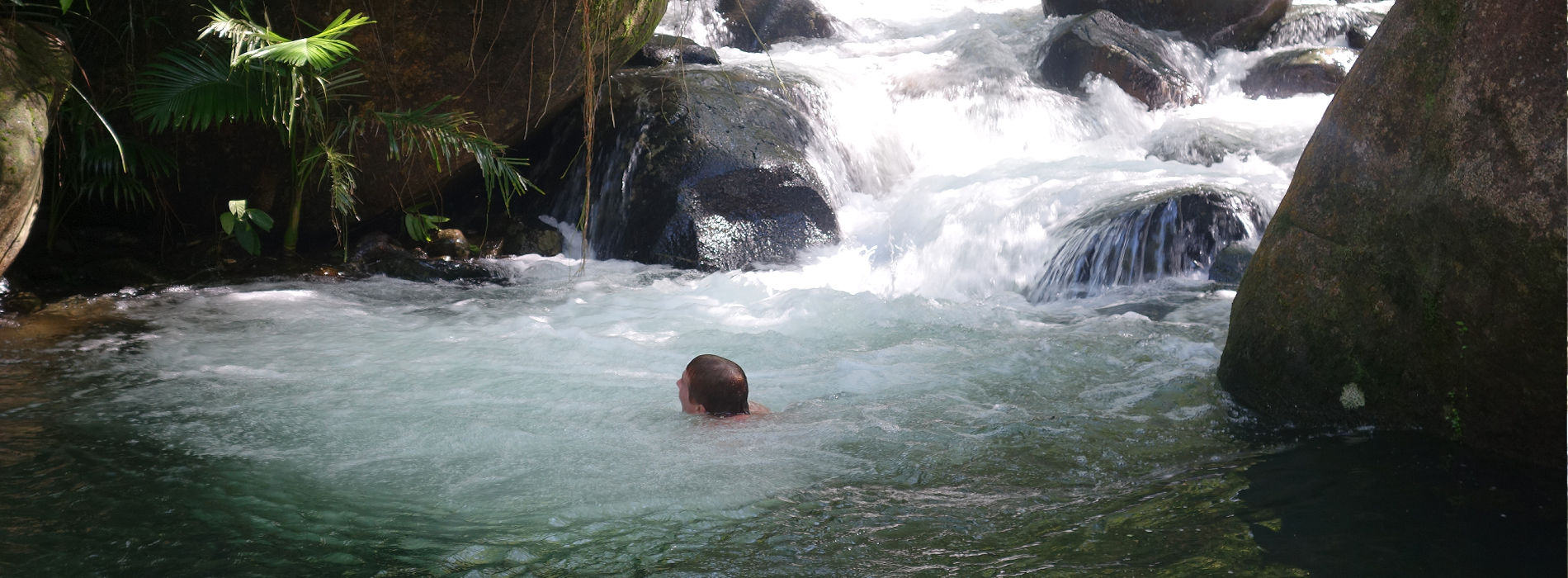 Daintree Holiday Home Daintree Secrets