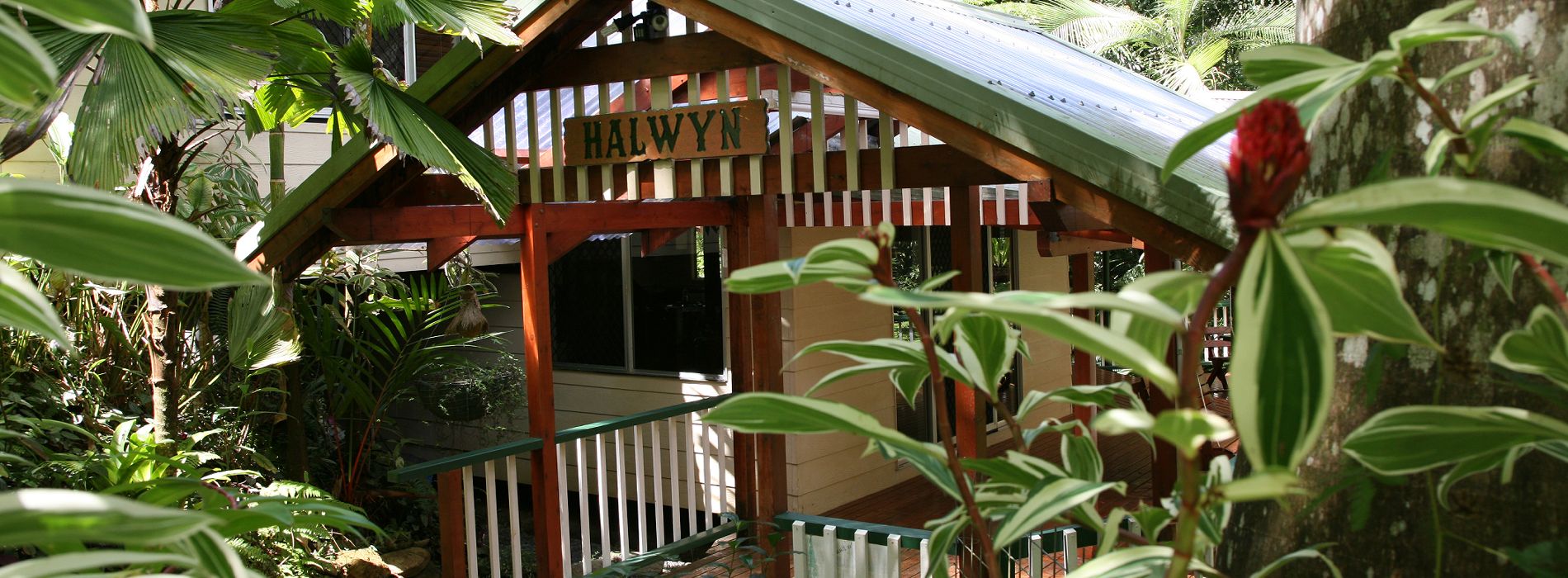 Daintree Holiday Home Daintree Secrets