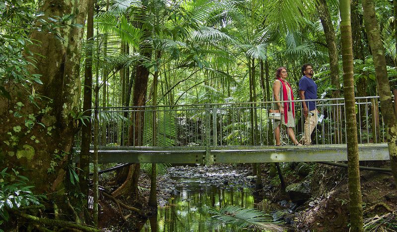 Freshwater Stream Tracks in the Daintree Couple crossing a wooden pedestrian bridge over a clear freshwater stream in the Daintree Rainforest