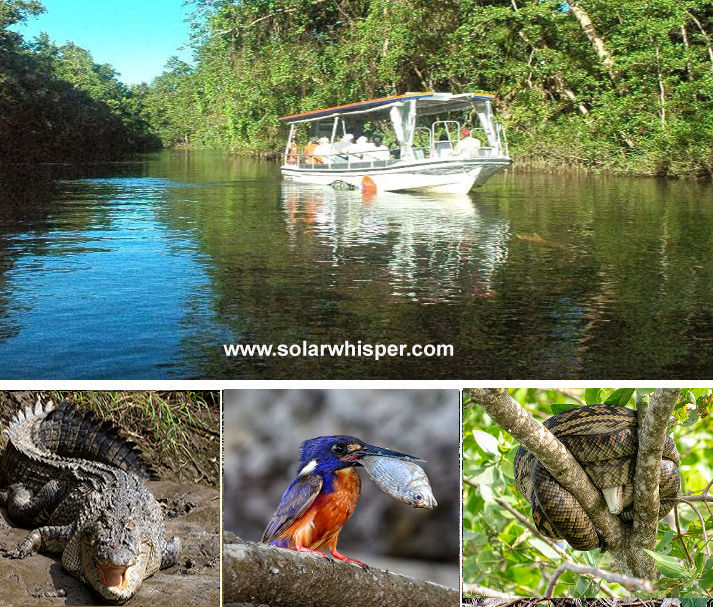 Wildlife spotting river tour boat cruising the Daintree River searching for crocodiles