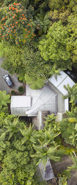 Secluded Rainforest Retreat Aerial View Aerial drone perspective of the hidden Daintree Secrets holiday home rooftops nestled inside the rainforest canopy