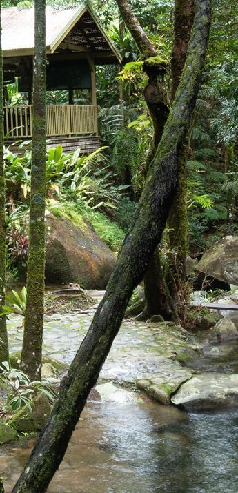 View of the sustainable eco-certified holiday rental home exterior hidden amongst ancient wet tropics wilderness