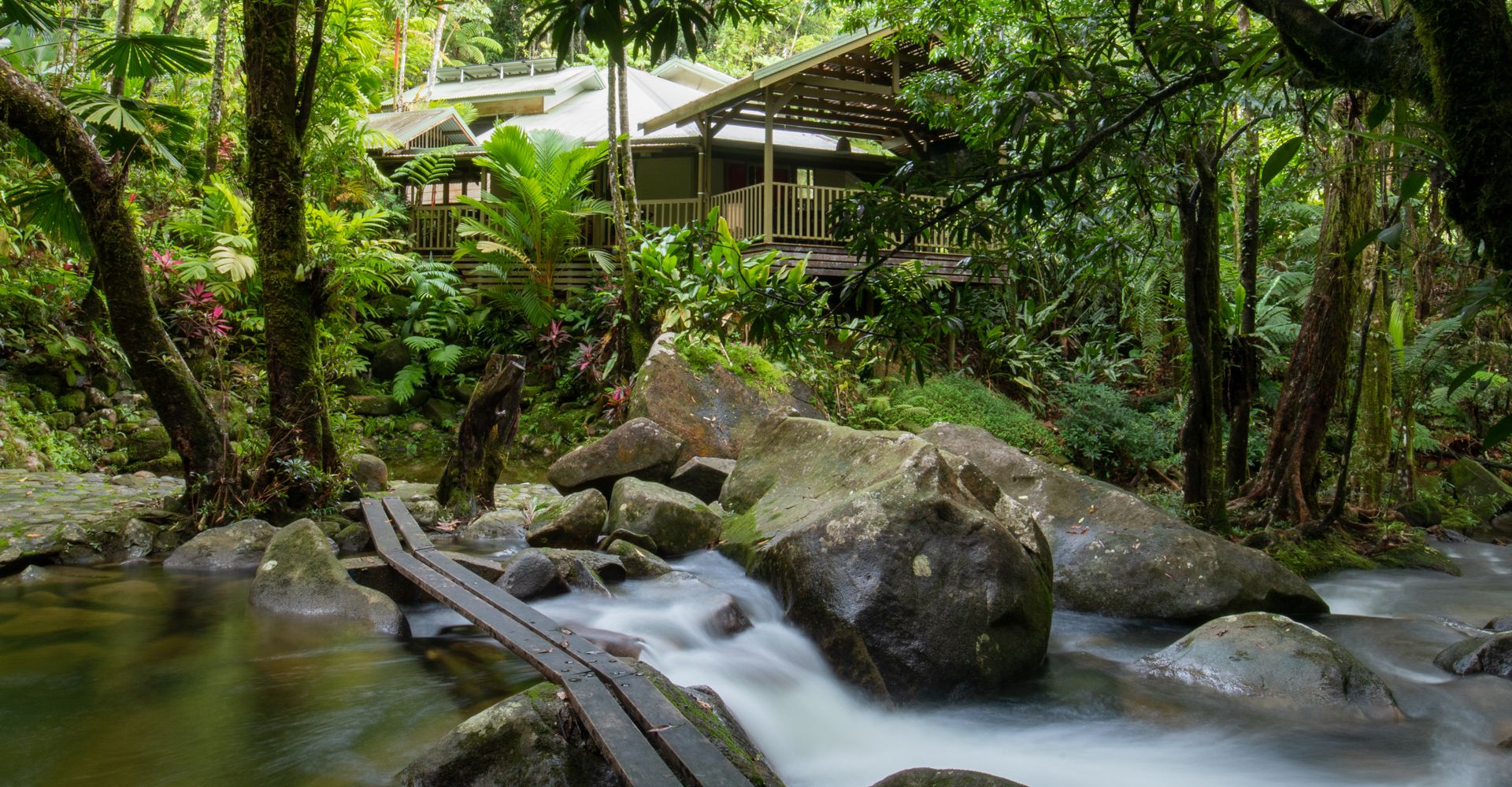 Scenic view of the elevated Daintree Secrets holiday home and al fresco timber verandah deck from the private freshwater swimming hole and dense surrounding rainforest