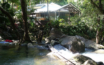 Rear view of the private holiday home framed by dense rainforest canopy stretching over the creek pool
