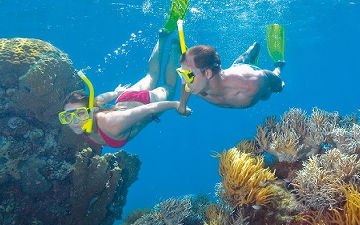 Daintree Tours & Activities