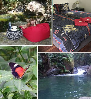 Daintree Holiday Home Pictures