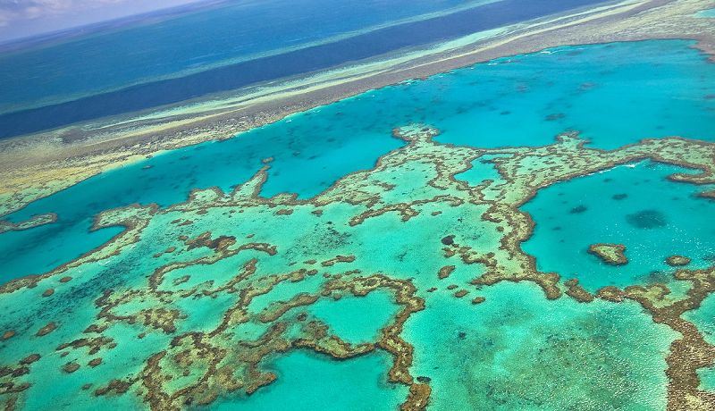 Stunning hero aerial view of the Outer Great Barrier Reef coral formations near Cape Tribulation and the Daintree coast
