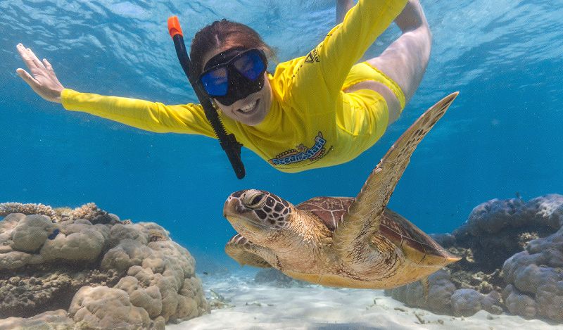Young woman snorkelling underwater with a sea turtle on the Great Barrier Reef off Cape Tribulation