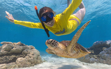 Snorkelling alongside a wild sea turtle on a Great Barrier Reef tour departing near Cape Tribulation