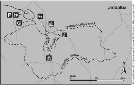 Detailed boardwalk track layout map for the Jindalba walking trail in the Daintree Rainforest National Park