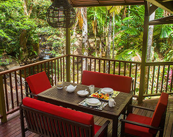 Daintree Holiday Home Accommodation