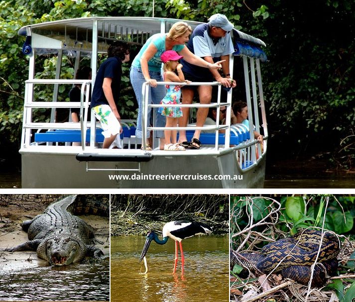 Daintree Tours & Activities
